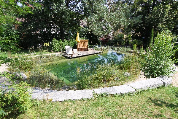 Schwimmteich in den Garten eingebettet