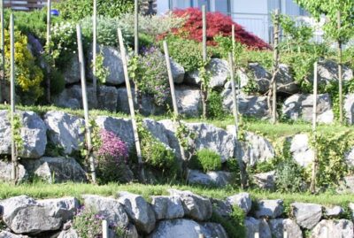 Schwergewichtsmauer aus Alpenkalk mit Polsterpflanzen bepflanzt