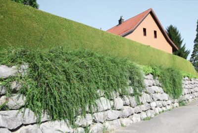 Stützmauer aus formwildem Alpenkalk entlang der Strasse