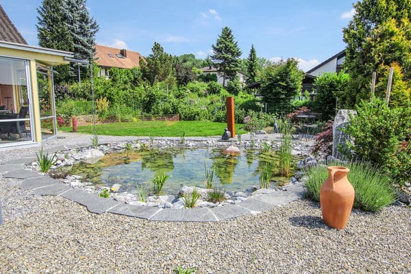Garten- Teich mit einer Einfassung aus Granitplatten