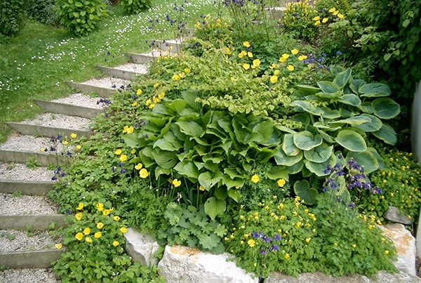 Geschwungene Gartentreppe aus Naturstein