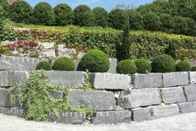Schwergewichtsmauer aus Granit mit Buchskugeln bepflanzt