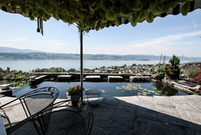 Koiteich mit Sicht auf den Zürichsee