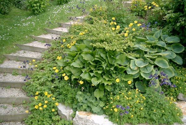 Pflanzen entlang der Gartentreppe
